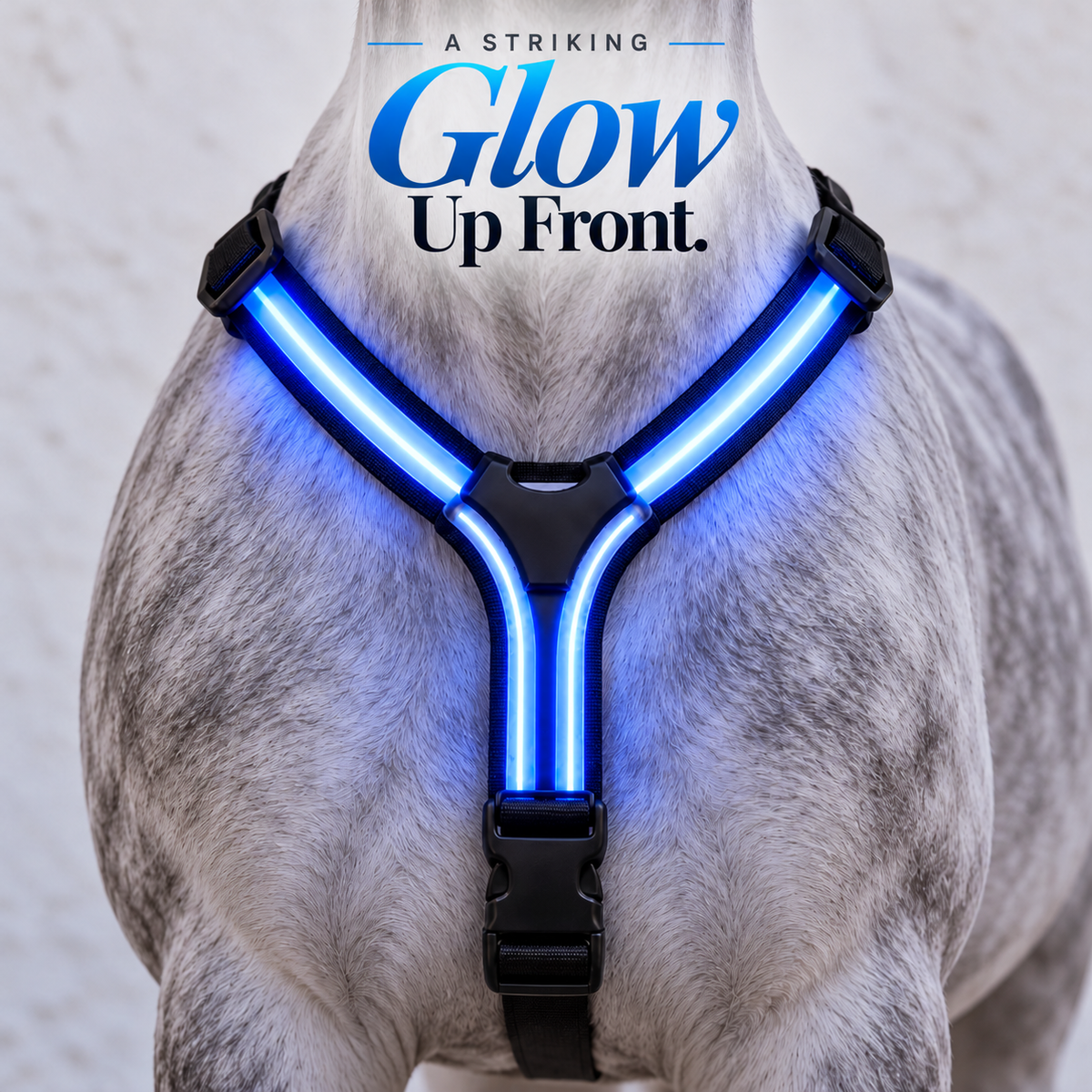 🐎🔥 Ride in Color – Full-Body LED Horse Light Set