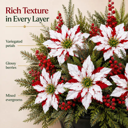 ❀Last Day 50% OFF🔥Christmas Poinsettia Planter Inserts